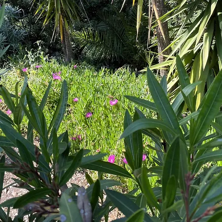 Βίλα Paparouna Μαγαζιά