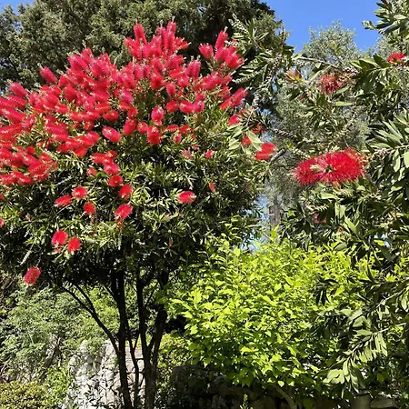 Paparouna * Μαγαζιά