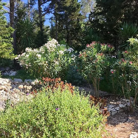 Villa Paparouna Magaziá