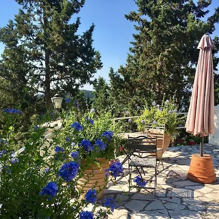 Paparouna * Magaziá