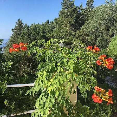 Villa Paparouna