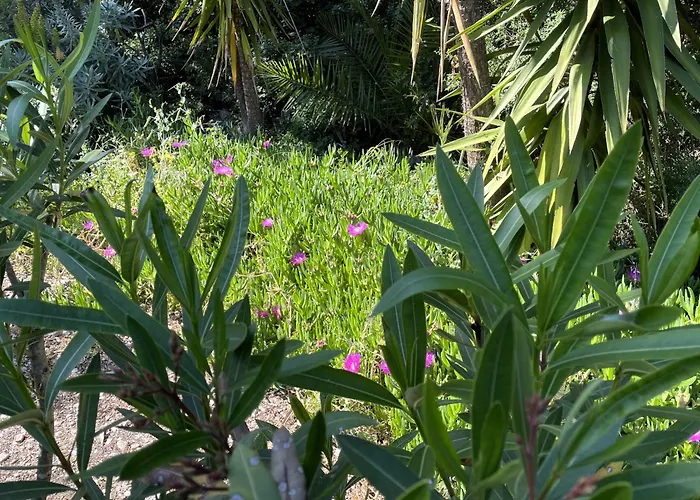 Villa Paparouna Magaziá